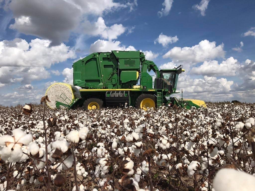Grown in The USA Raw Cotton Stuffing/Batting