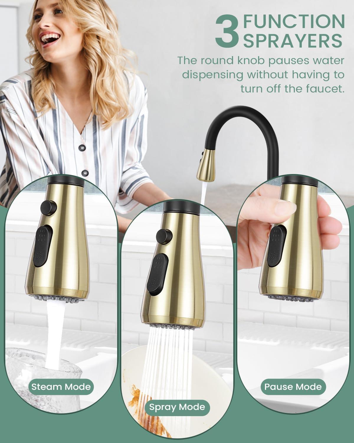 VIBRANTBATH Pull Out Kitchen Faucet