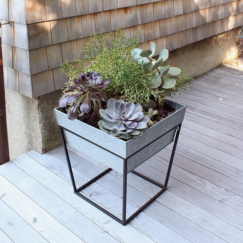 Scandinavian Galvanized Metal Plant Stand with Black Frame