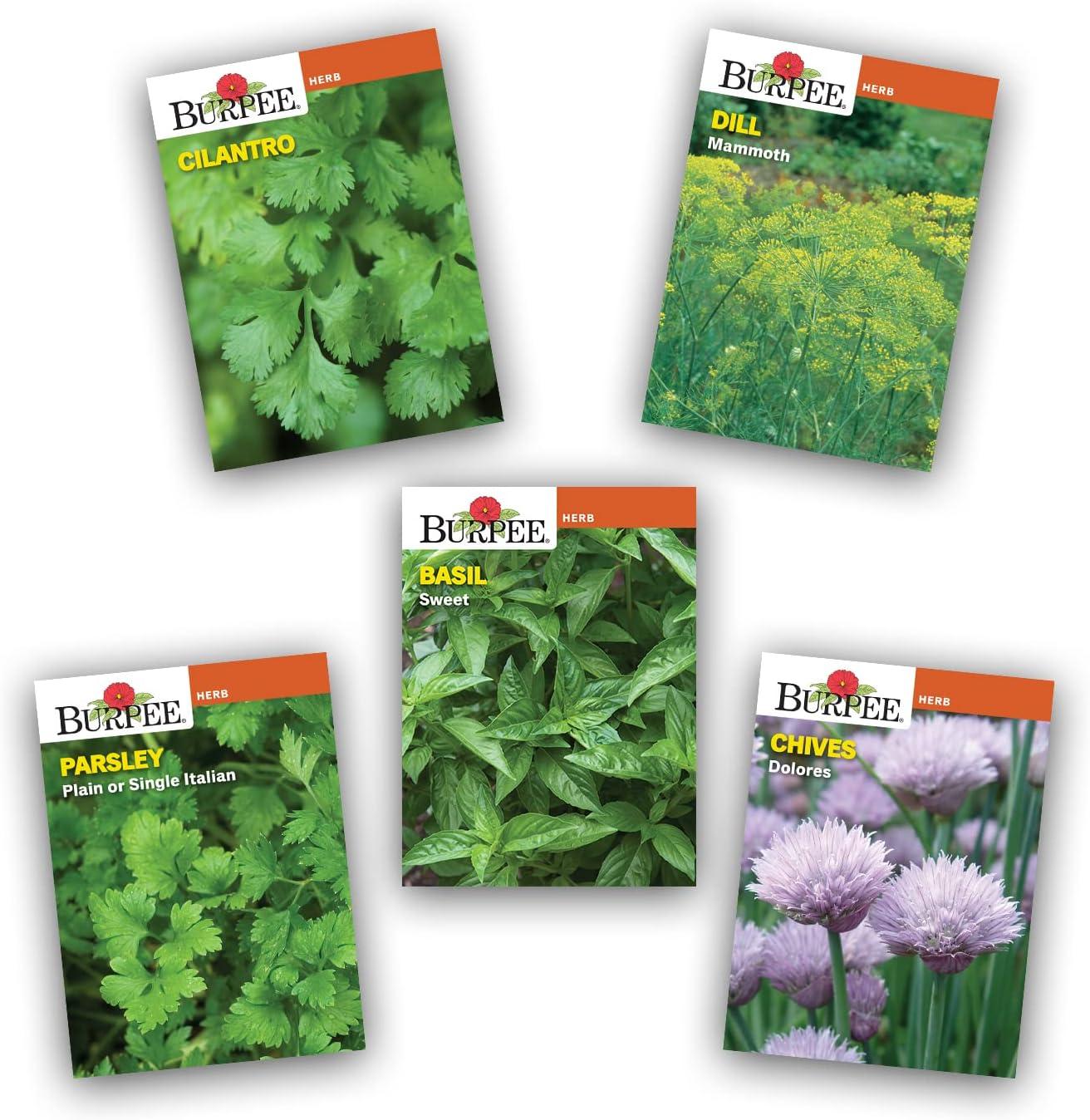 Burpee Culinary Herb Seed Starter Kit