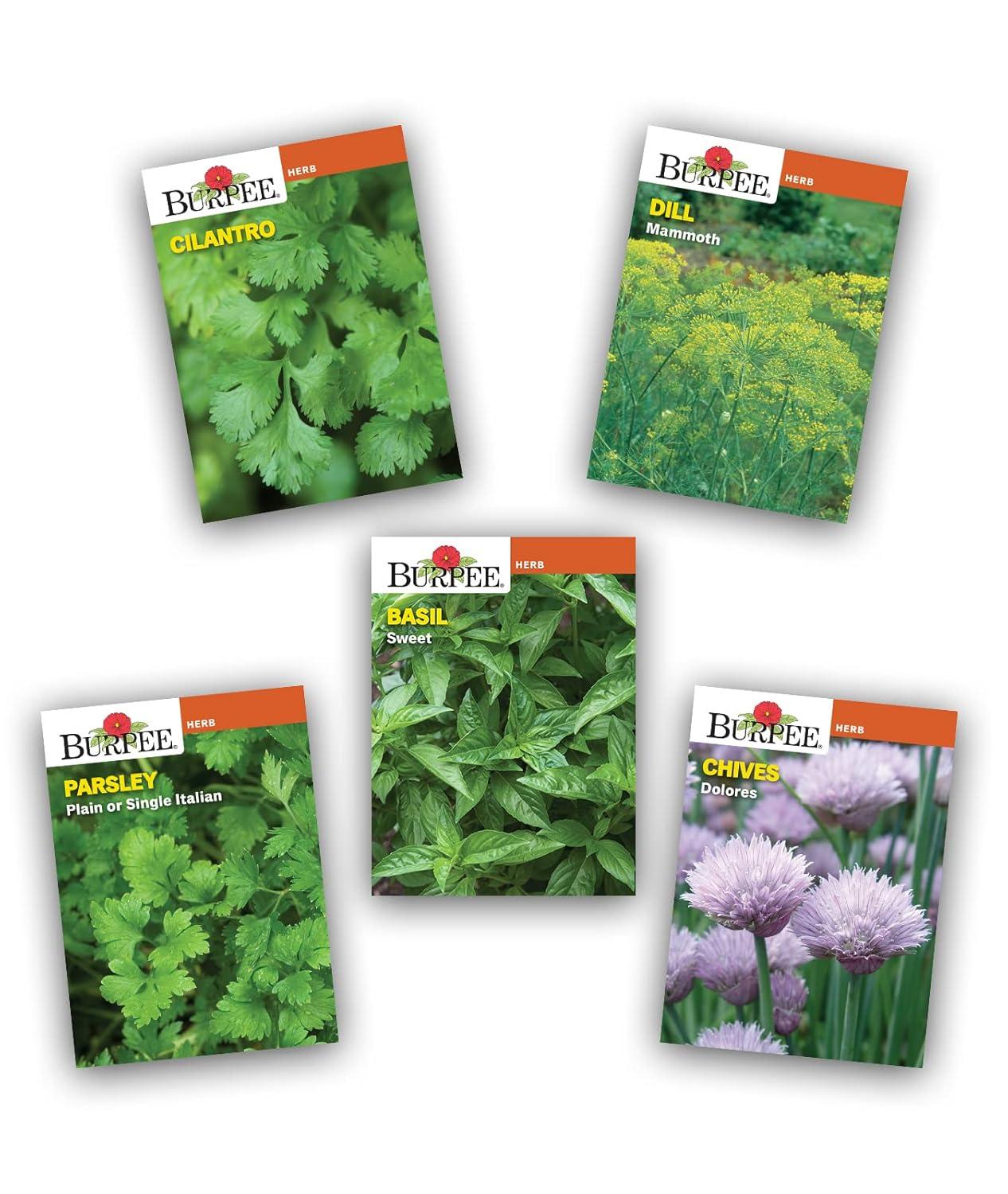 Burpee Culinary Herb Seed Starter Kit