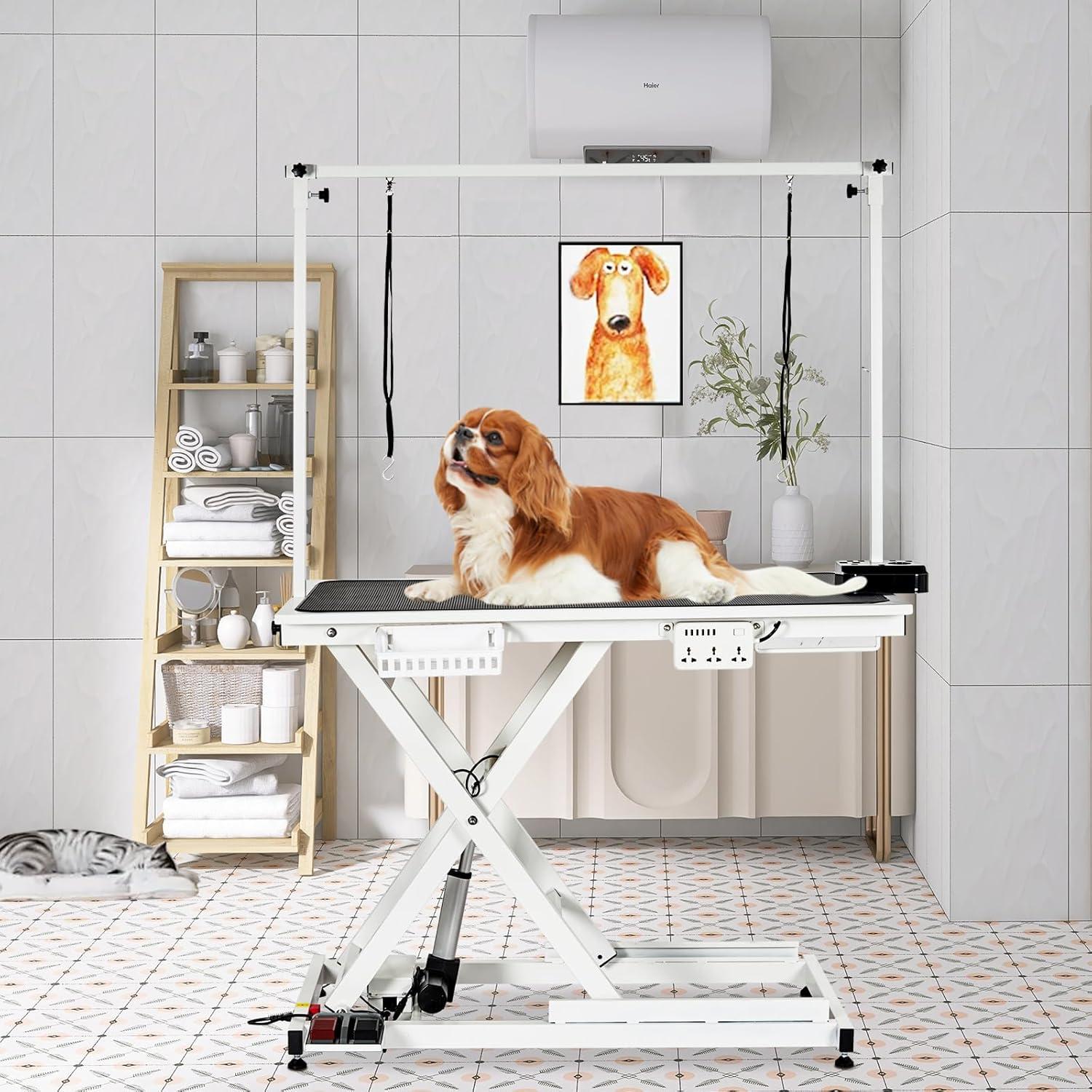 babevy 50'' Electric Dog Grooming Table, Heavy Duty, Height Adjustable Pet Grooming Table | Wayfair