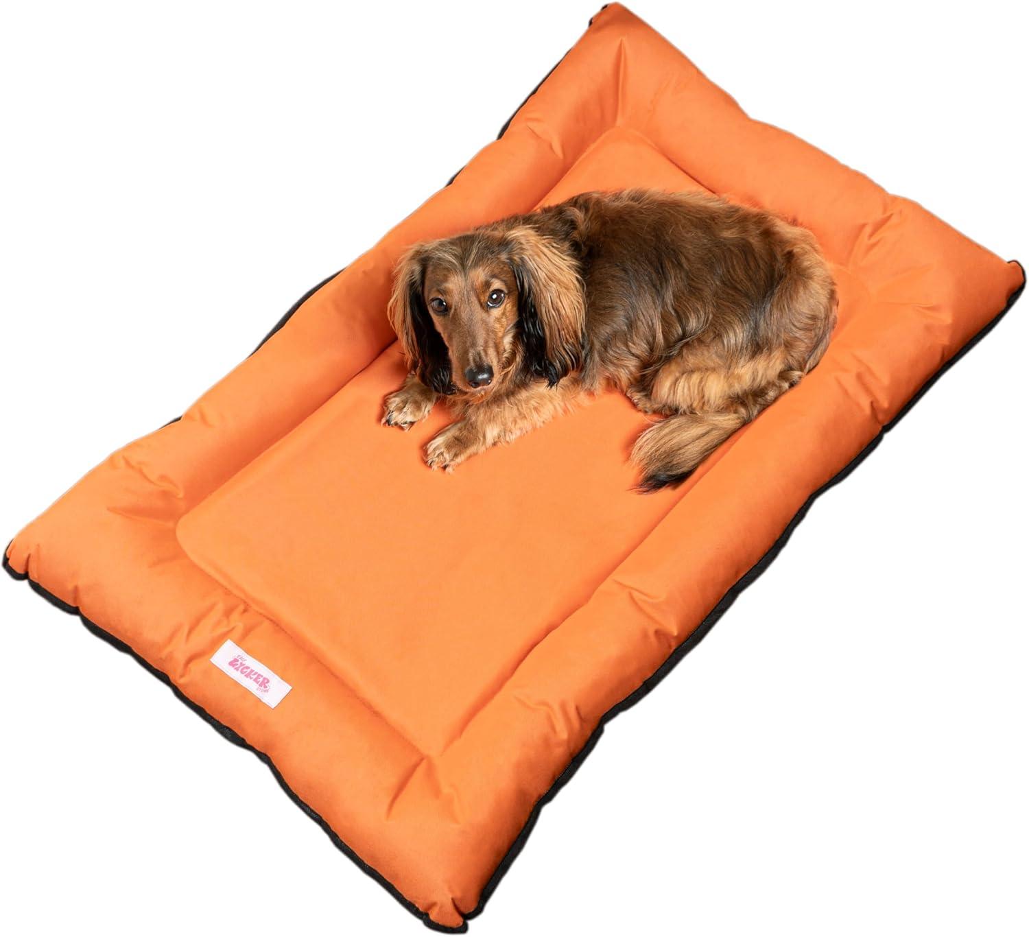 Archie Traditional Oxford Waterproof Indoor/Outdoor Hand-Washable Memory Foam Camping Pet Bed