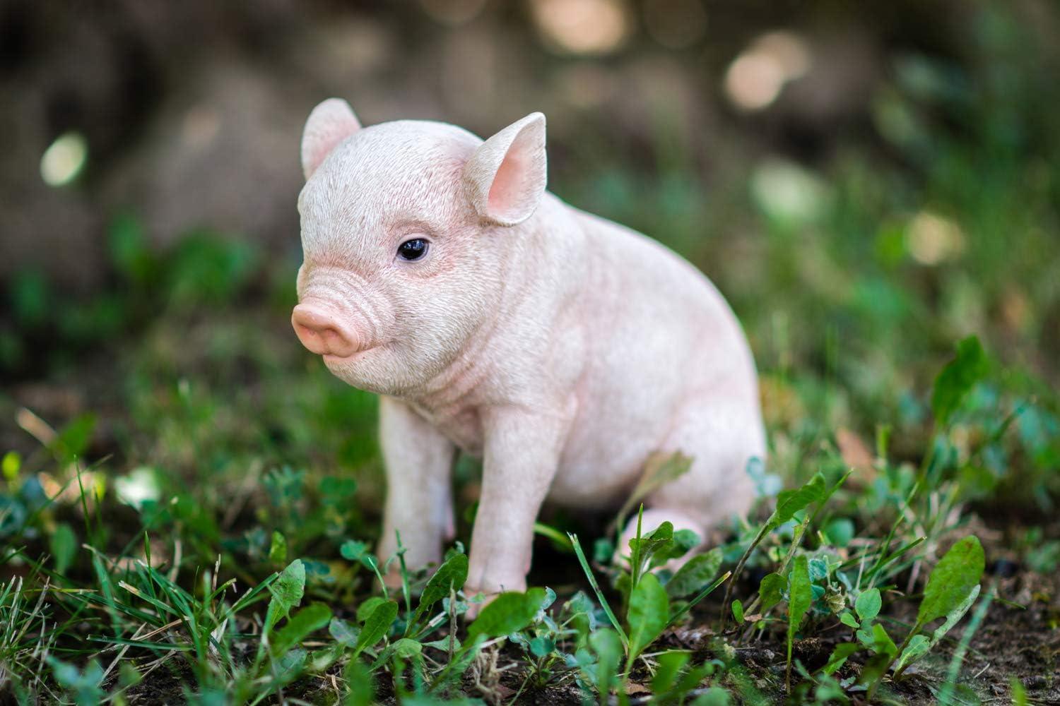 Pink Polyresin Sitting Baby Pig Garden Statue