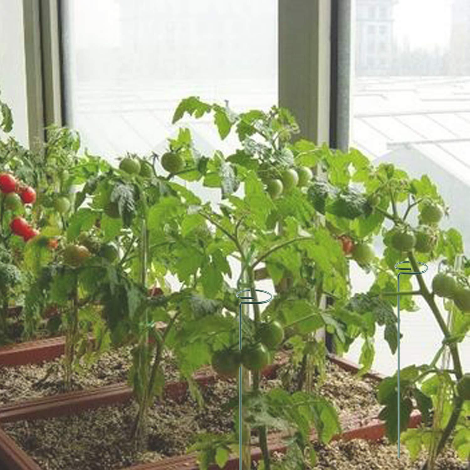 Plant Stake - 6 Pack, Garden Single Stem Stake Plant Cage Rings, Single Stem Plant Stakes, Plant Twist Ties, for Flowers Amaryllis Tomatoes Peony Lily Rose (15.9 inch) C49