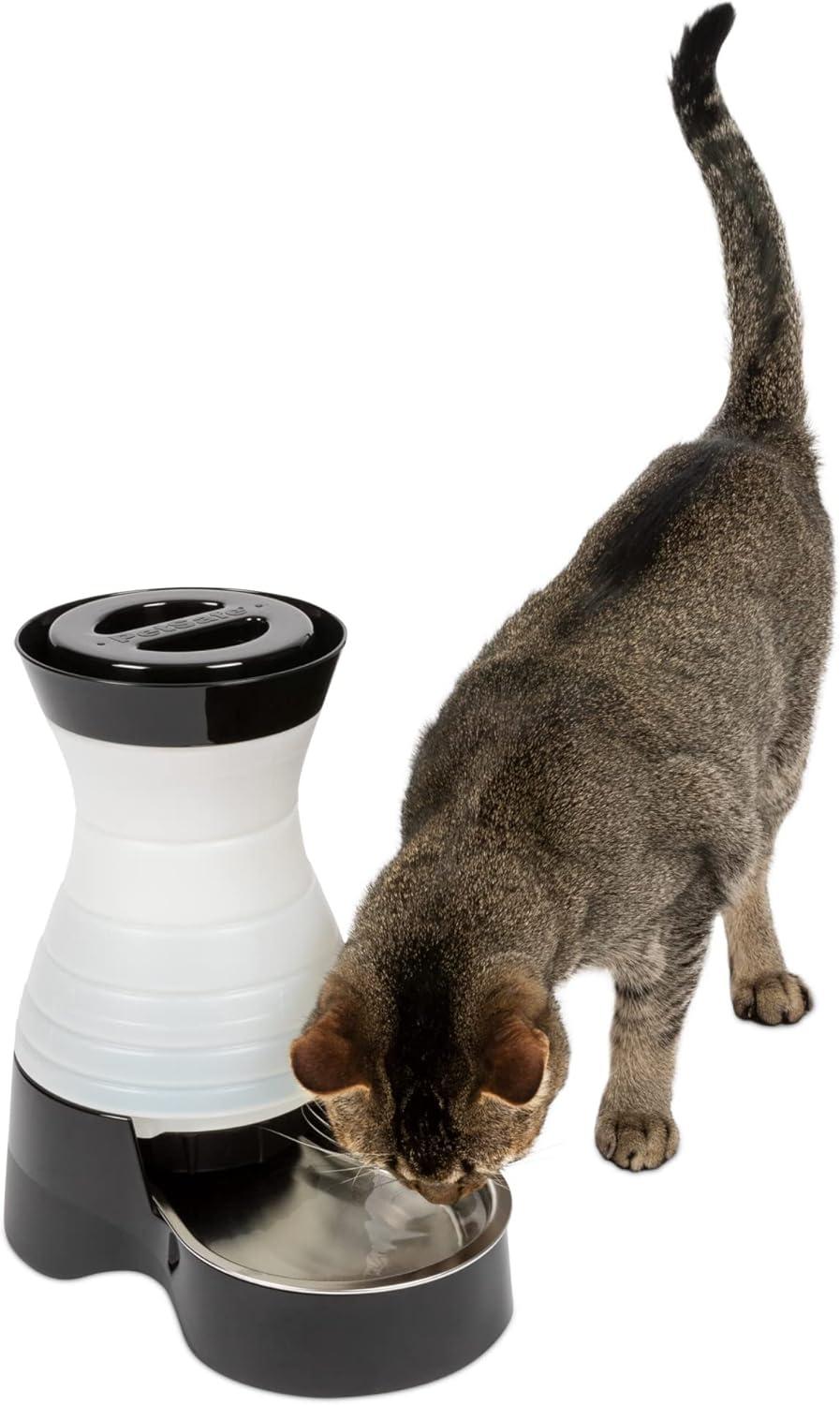 Small Automatic Stainless Steel Pet Water Dispenser