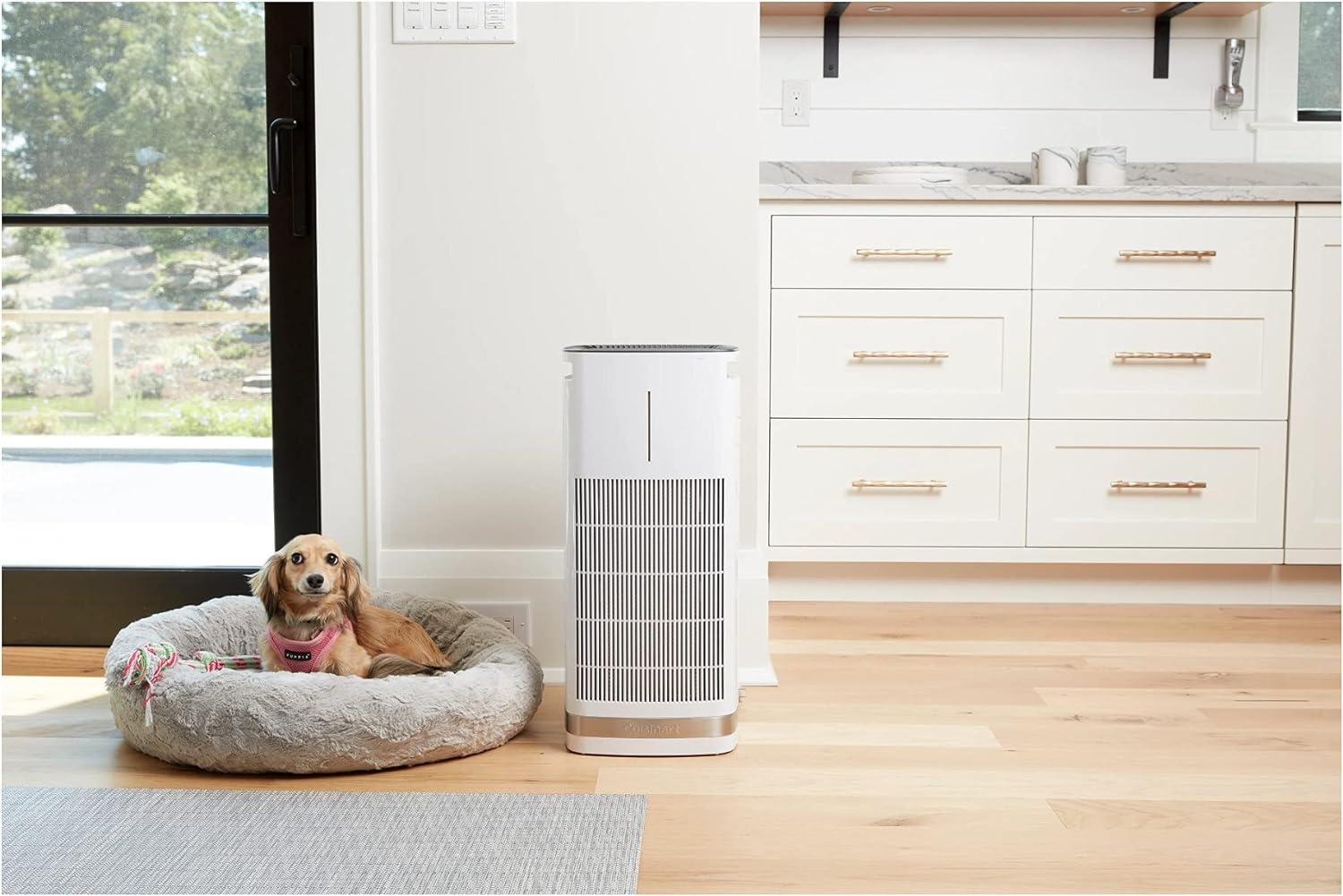 Purxium Freestanding Air Purifier with HEPA Filter