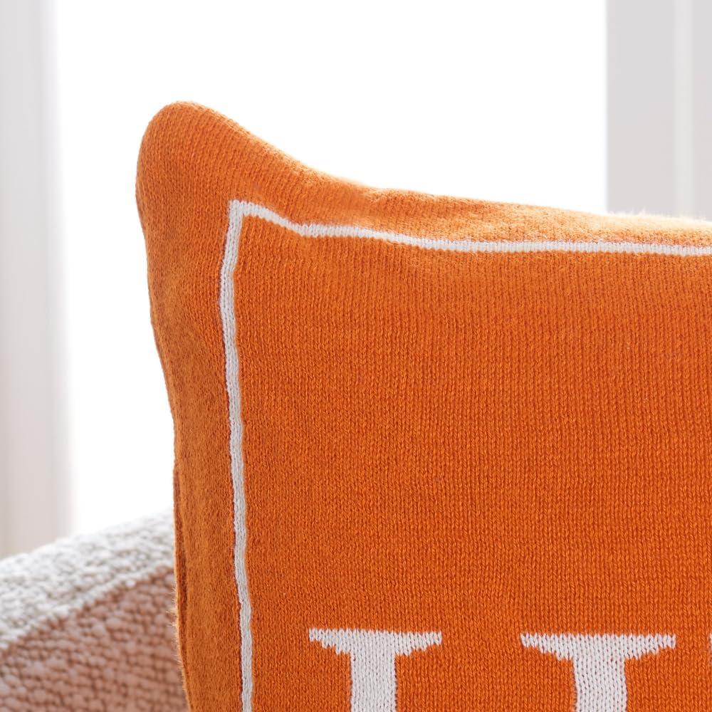 19" Orange Cotton Thanksgiving Fall Pillow Set