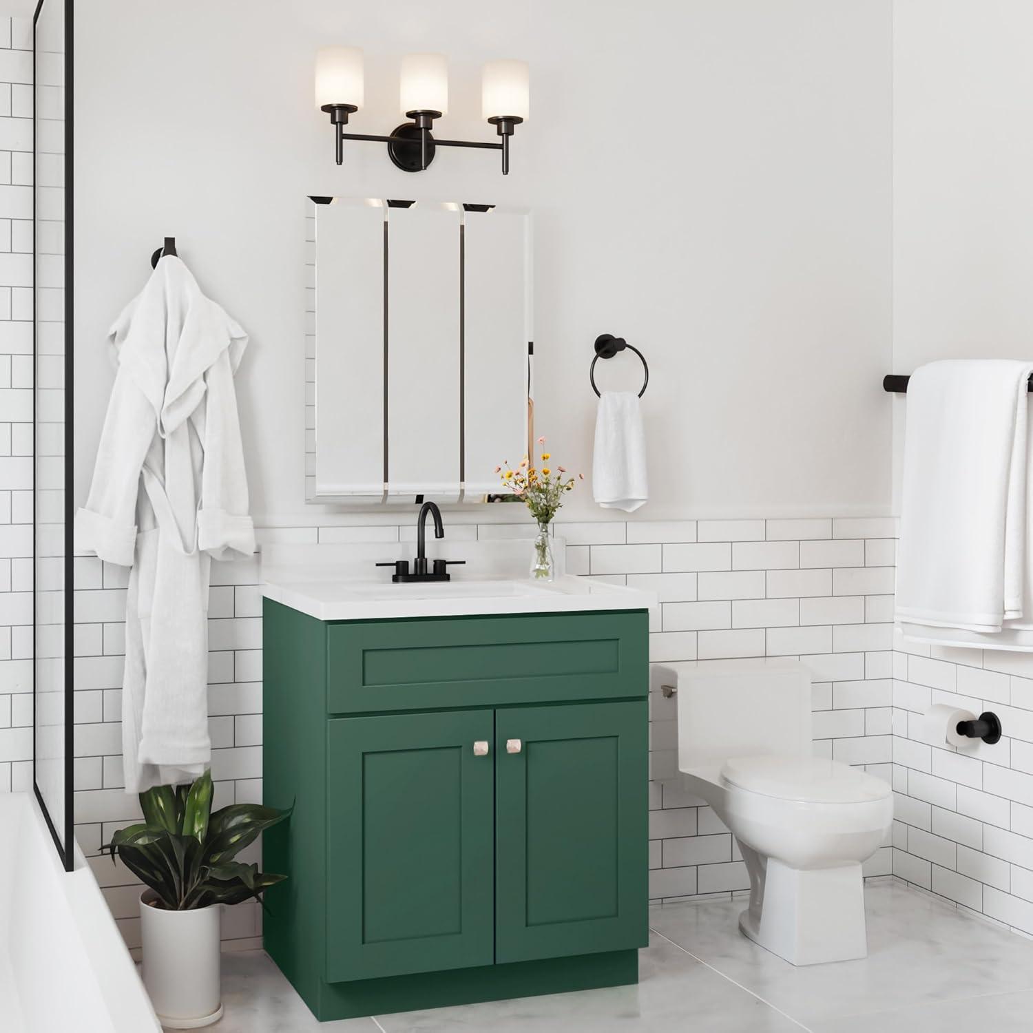 Design House Brookings 30 Inch Bath Vanity, Ready to Assemble, Sherwin Williams®