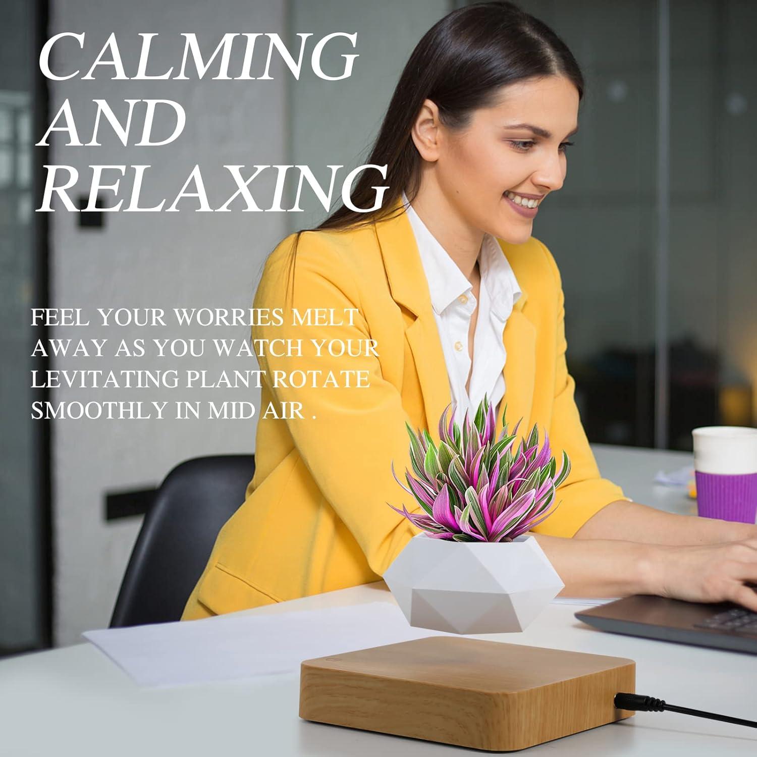 Levitating Air Bonsai Pot, Rotation Flower Pot Planters, Magnetic Levitation Suspension Floating Pot, Potted Plant Home Desk Decor in Flower Pots & Planters from Home & Garden on (Light Color) C49