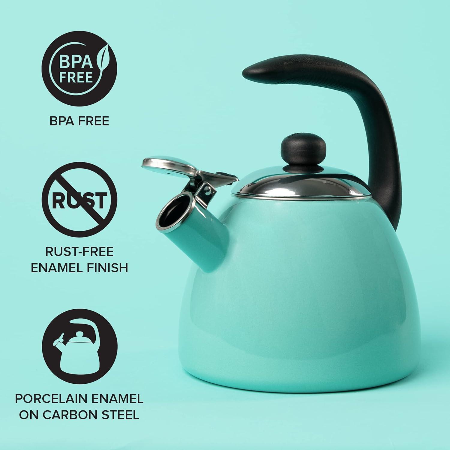 Aqua Enamel Whistling Tea Kettle with Silicone Handle, 2.5 Quart