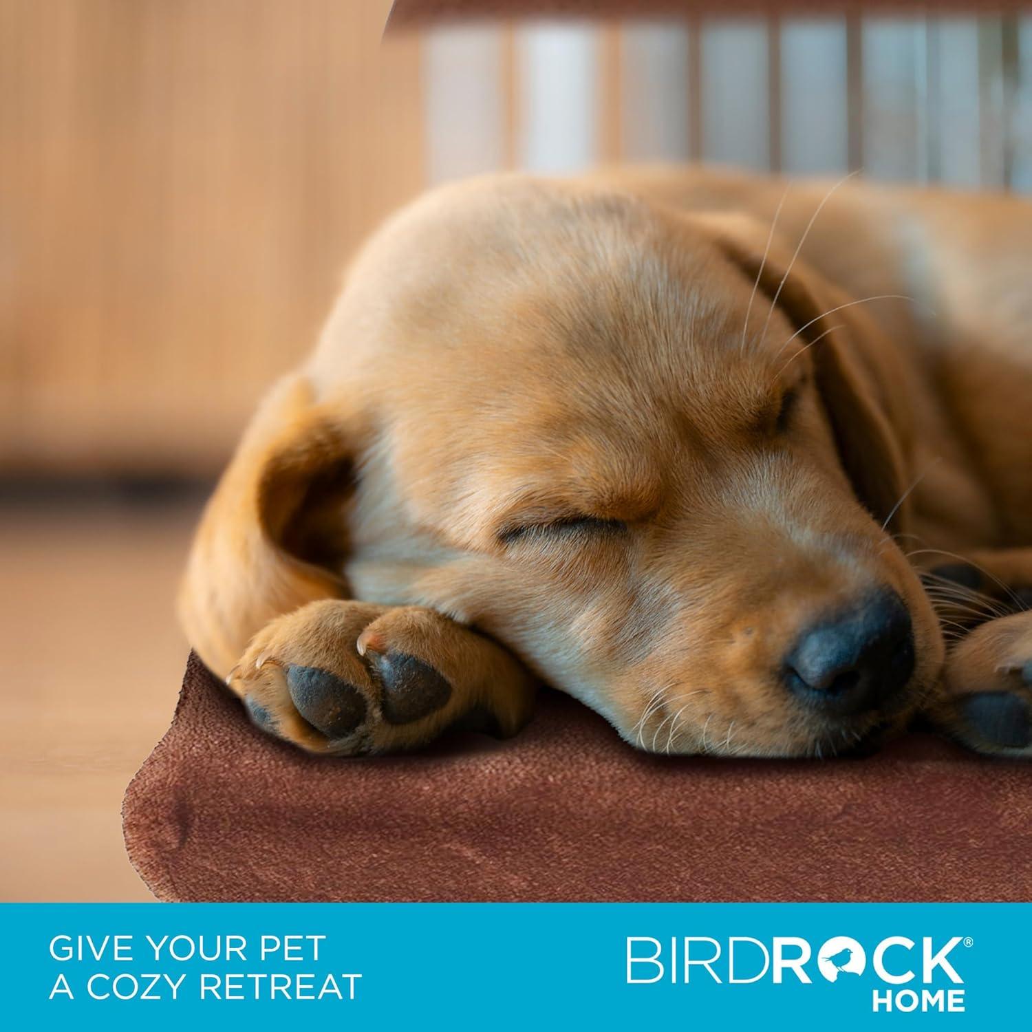 BirdRock Home Orthopedic Polyester Pet Bed