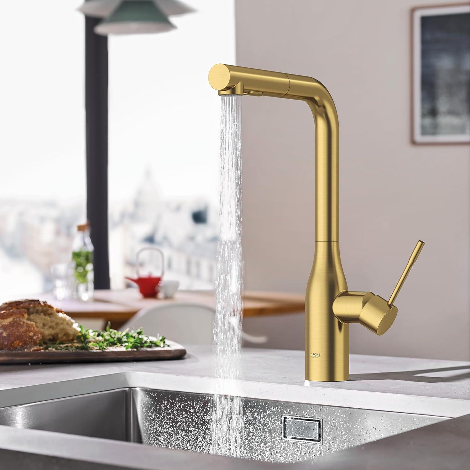 Essence Pull Out Single Handle Kitchen Faucet with Accessories