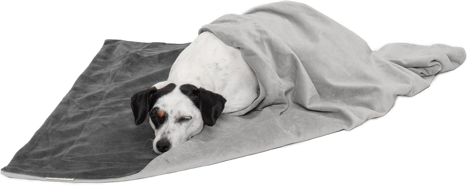 Granite Gray Medium Waterproof Velvet Pet Blanket