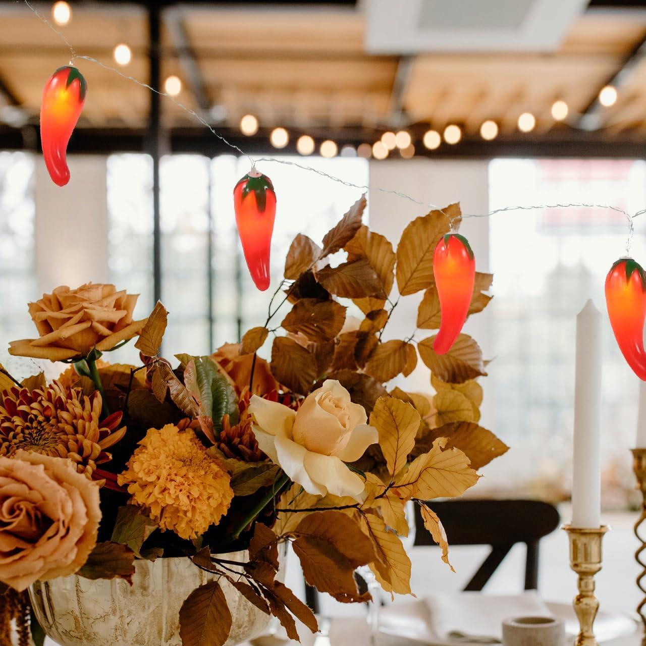 HOMEMAXS Chili Lights String Battery-operated 5.4ft 10 LEDs Warm White Pepper Lights Decorations for Patio Fence Deck Balcony Camping