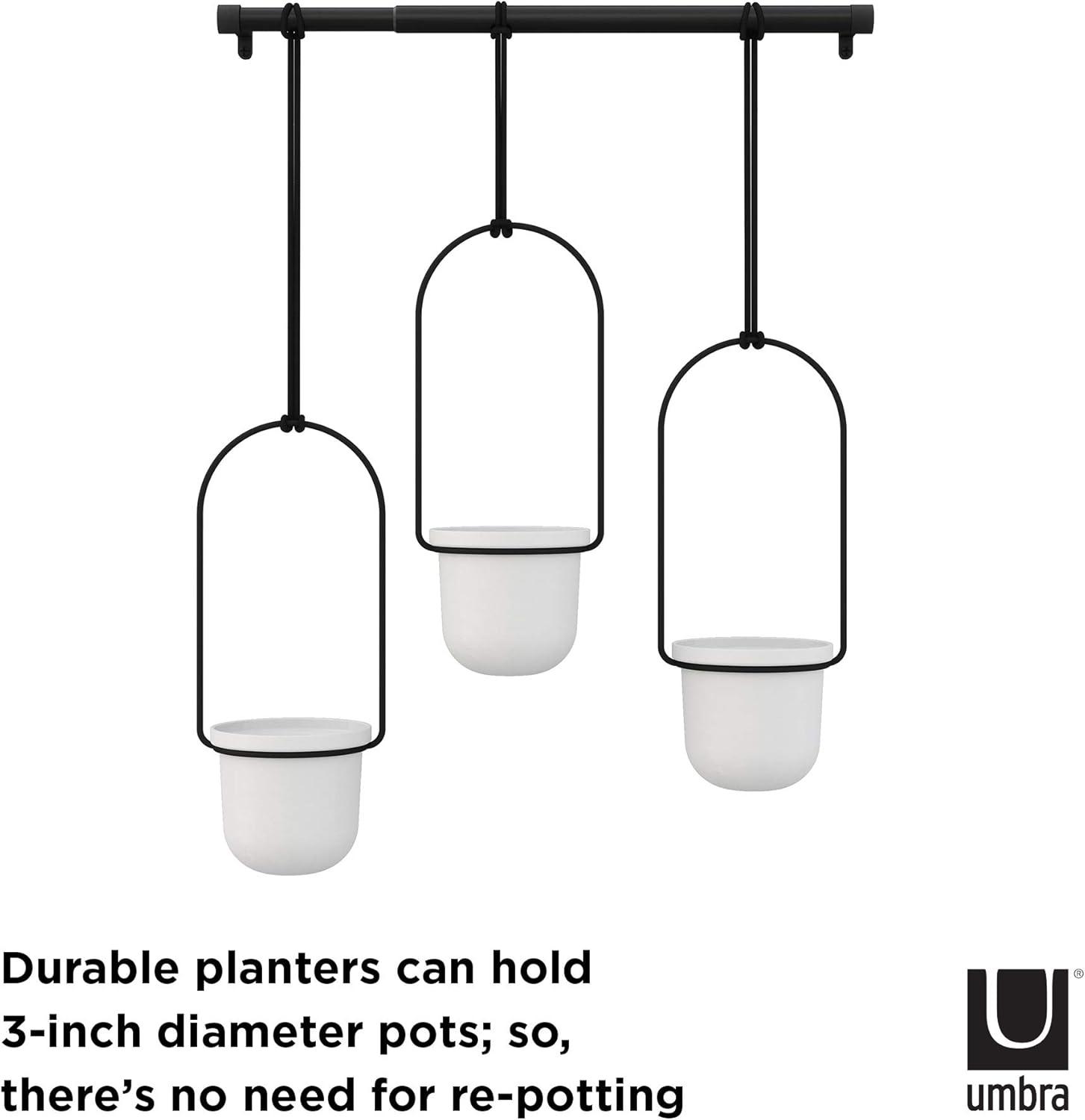 Tri-Flora Hanging Planter