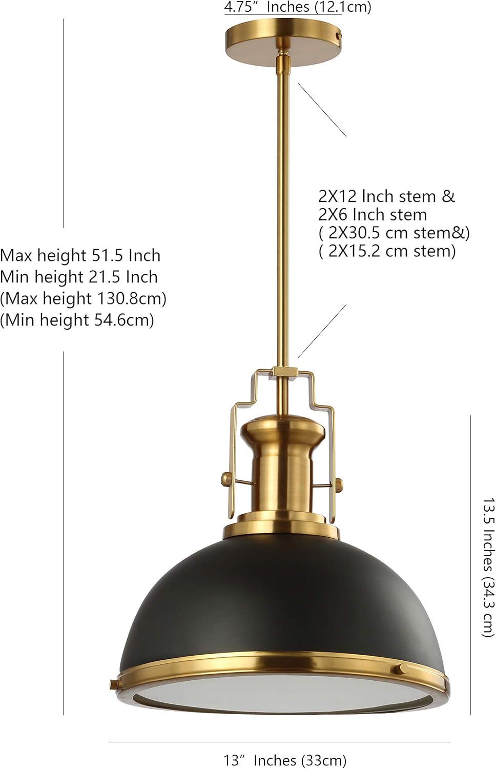 Homer Vintage Black and Brass Gold Iron LED Pendant Light