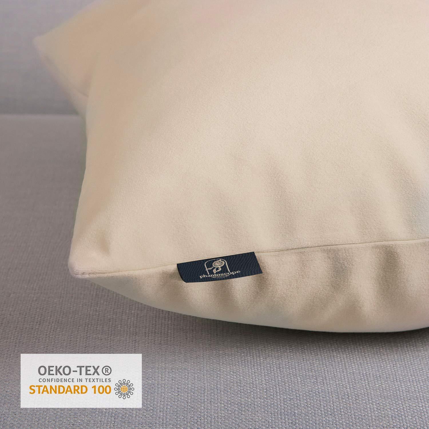 Toptie Set of 2 Velvet Pillow Covers 18" x 18", Throw Cushion Case for Sofa Bedroom (Beige)