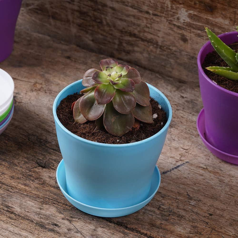 TDHDIKE 10 Pcs Plastic Planters Indoor Pots, Mini Flower Seedlings Nursery Flower Pot with Pallet, Modern Decorative Gardening Containers Pink / White / Purple / Blue / Green
