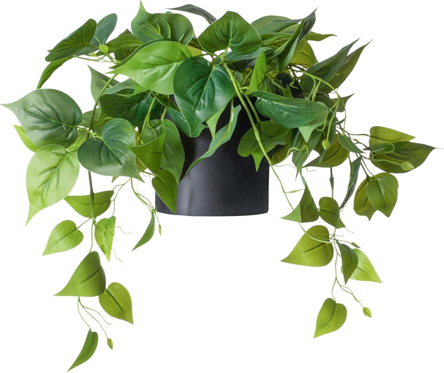 Forever Leaf Artificial Ivy Foliage Plant in Black Ceramic Pot, Indoor Artificial Plant for Home Decor