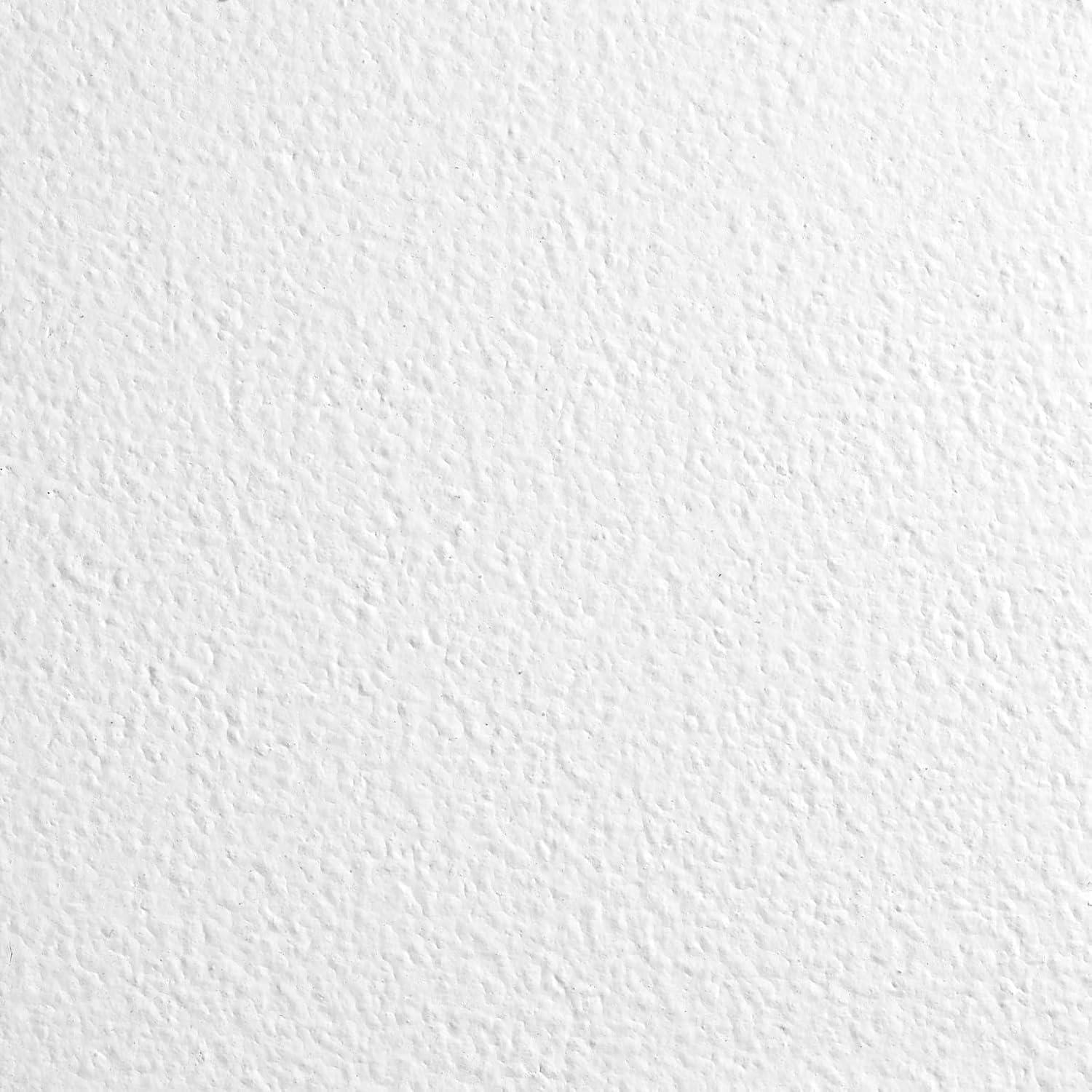 Armstrong 2x2 KITCHEN ZONE Acoustic Ceiling Tiles for Suspended Ceiling Grids, 16-tiles per pack, White