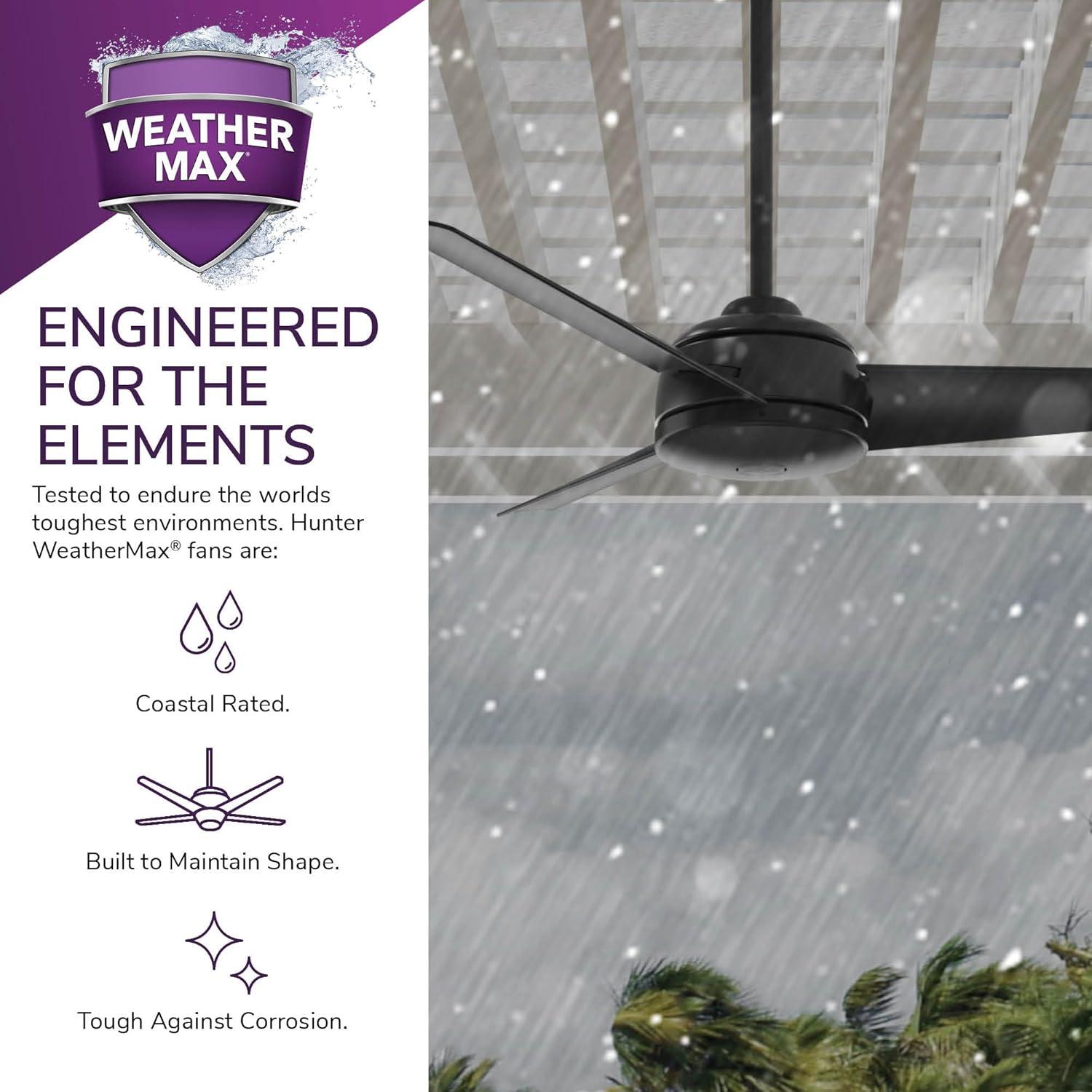 52" Cassius 3 - Blade Outdoor Standard Ceiling Fan with Pull Chain