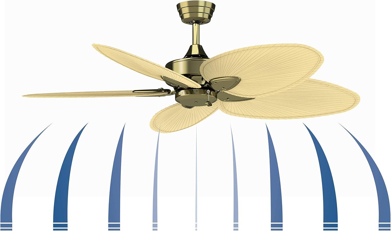 Windpointe 52'' Ceiling Fan