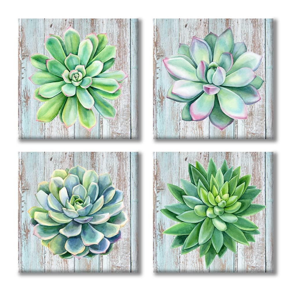 Paimuni Succulents Canvas Wall Art Watercolor Hand-Drawn Green Leaf Plants Printings Ready to Hang Wall Decor Botanical Giclee Prints 12x12inchesx4pcs