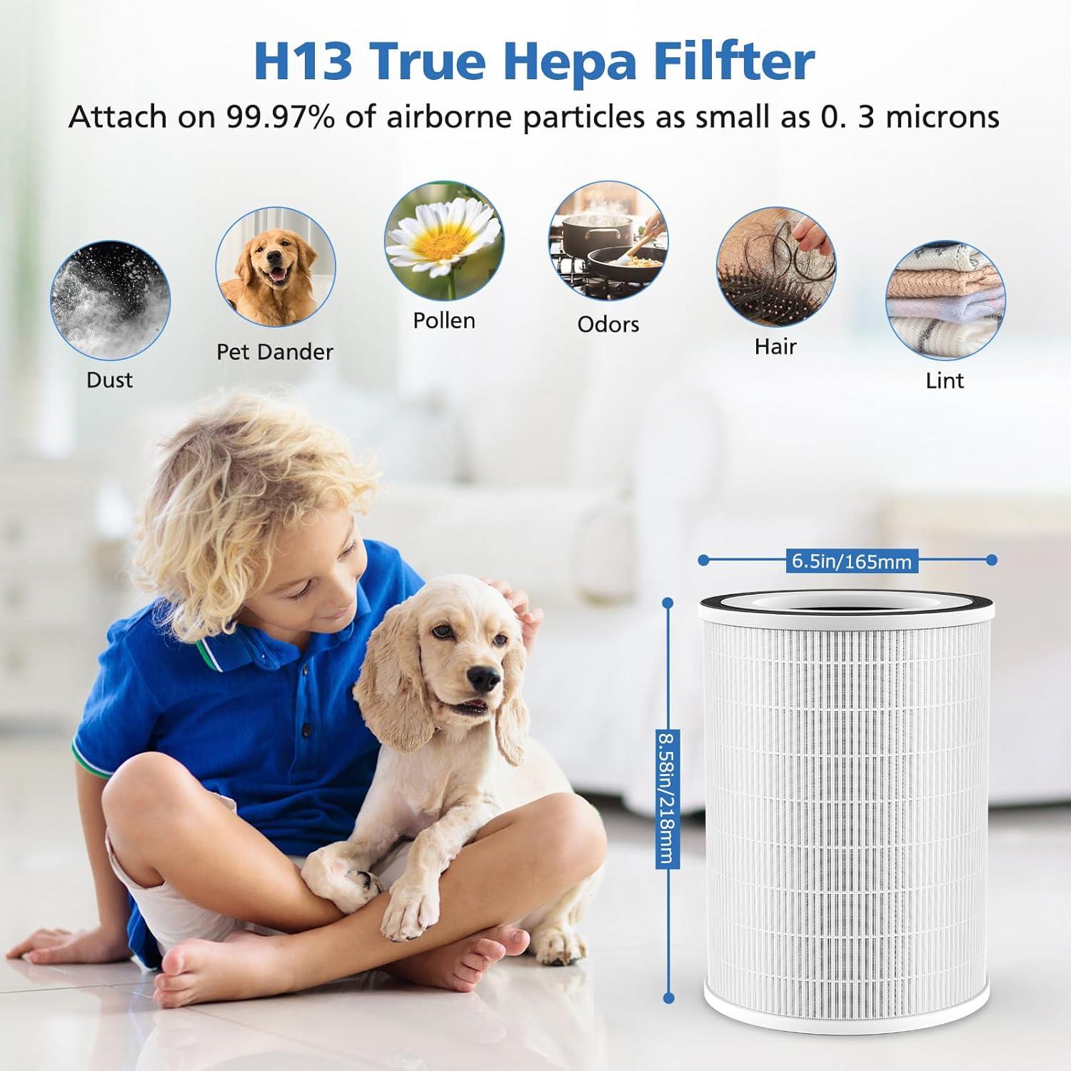 White True HEPA Replacement Filters for Air Purifiers, 2-Pack