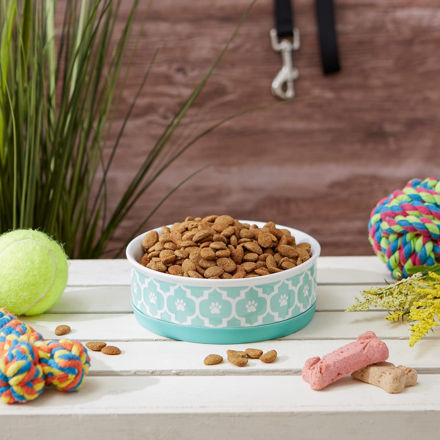 Bone Dry Lattice Pet Bowl, Dishwasher Safe, Single Dish, Medium 6x2", Aqua