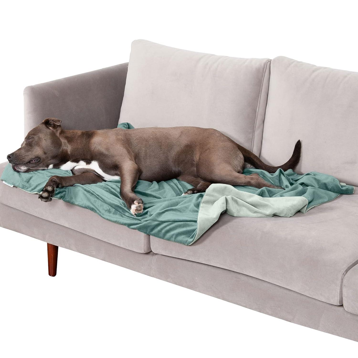 FurHaven Waterproof Faux Velvet Throw Blanket