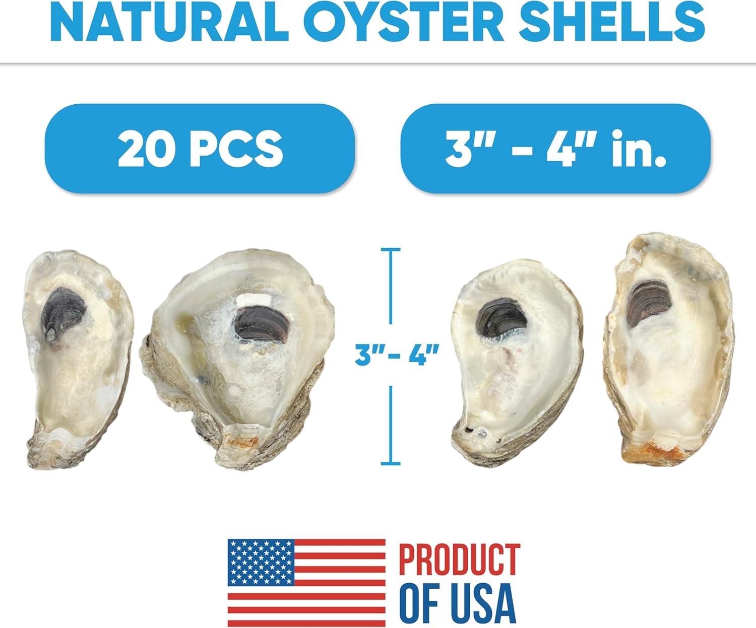 Tumbler Home Oyster Shells for Crafts, 3" - 4" Large Oyster Shells, 20PCS Bulk Bag for DIY Crafting, Decoupage, Christmas Ornaments, Wreaths, Weddings, Beach Decor Arts & Crafts. Farmed in USA