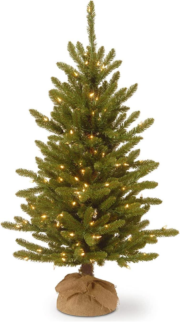 4' Pre-lit Kensington Artificial Christmas Tree in Burlap Base Clear Lights - National Tree Company