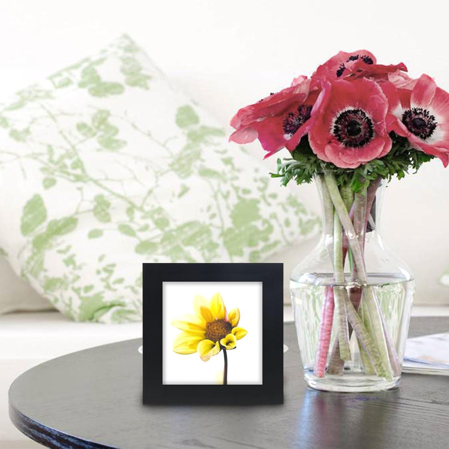 Picture Frames 8x8 2 Pack Nature Solid Black Wood for Wall Mounting and Tabletop Display