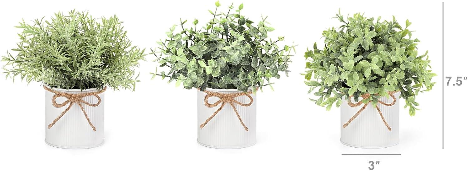 Set of 3 Green Faux Boxwood and Eucalyptus Tabletop Centerpieces