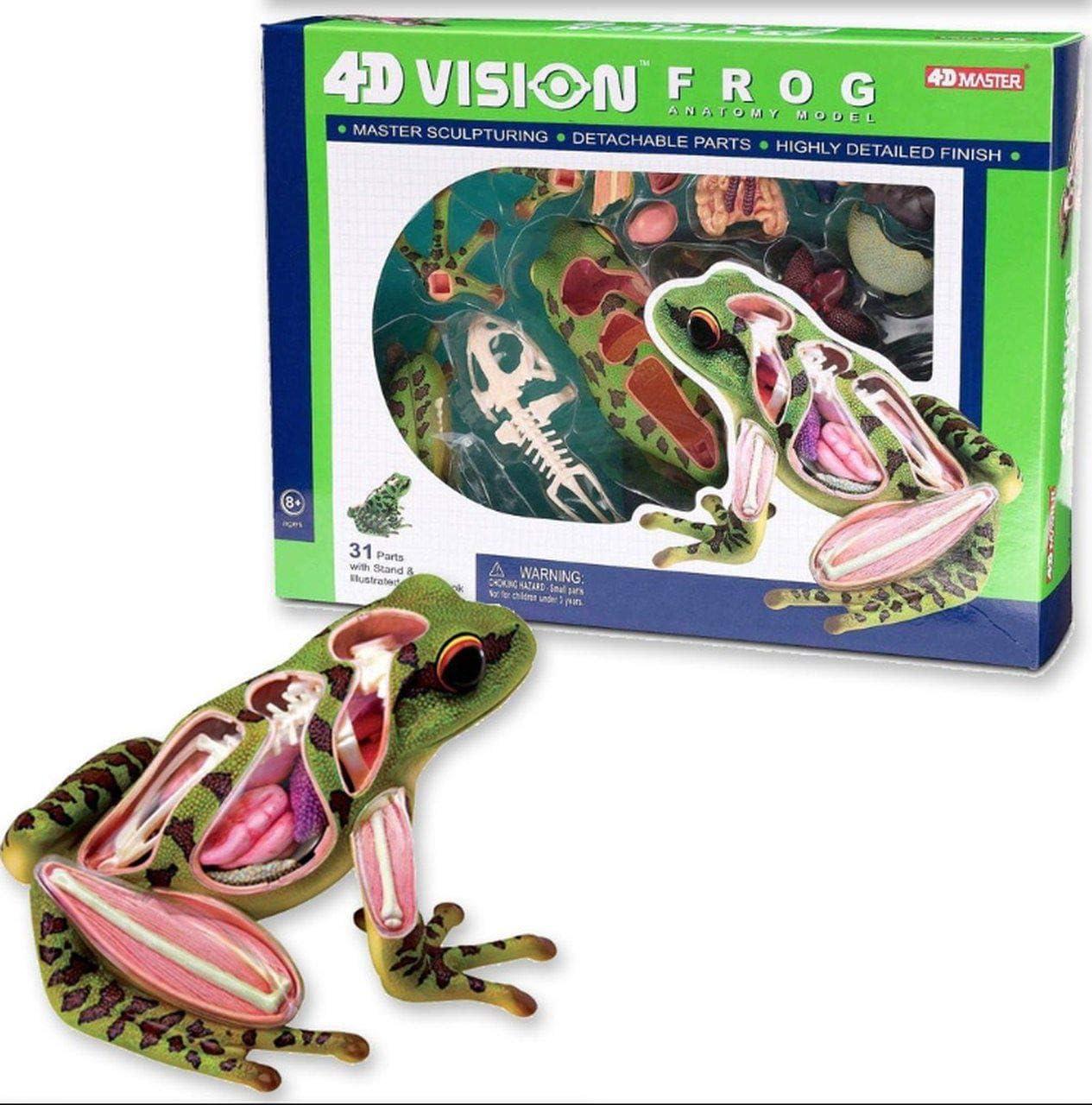 4D Vision Frog Highly Detailed Science Model Kit