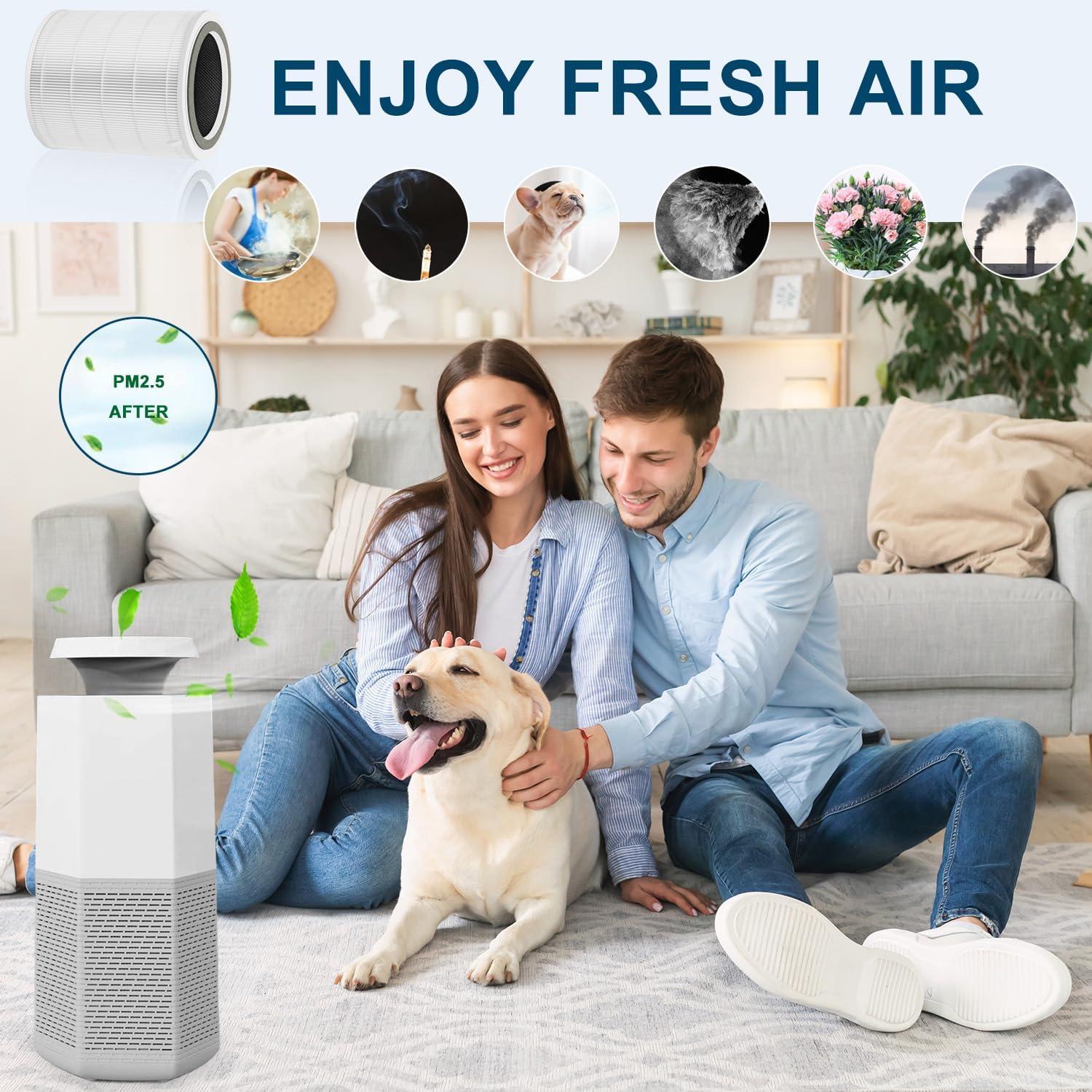 White H13 True HEPA Air Purifier Replacement Filter