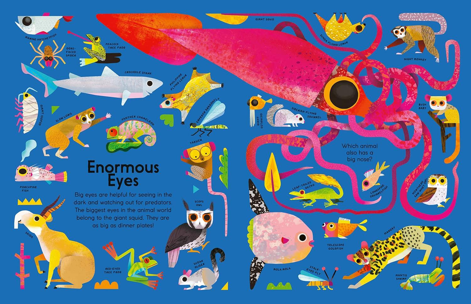 Creature Features Vibrant Illustrated Kids' Non-fiction Book