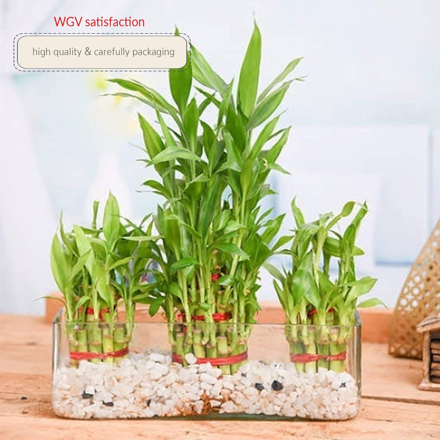 WGV Rectangle Block Glass Vase, Width 4", Length 12", Height 4", Clear Long Floral Container, Candle Holder for Home Office Wedding Decor, 1 Piece