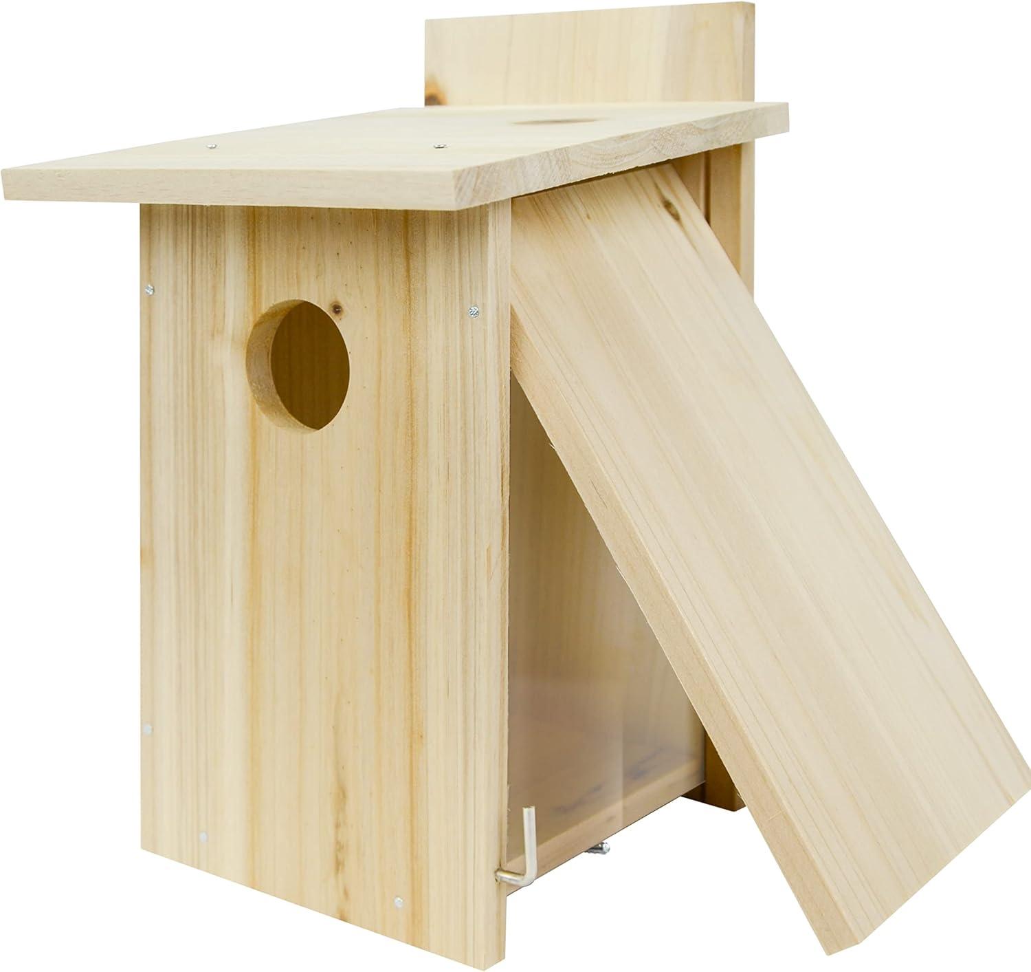 Nature's Way My First DIY Bird House To Paint, Assemble, and Decorate Wood Craft, 10"