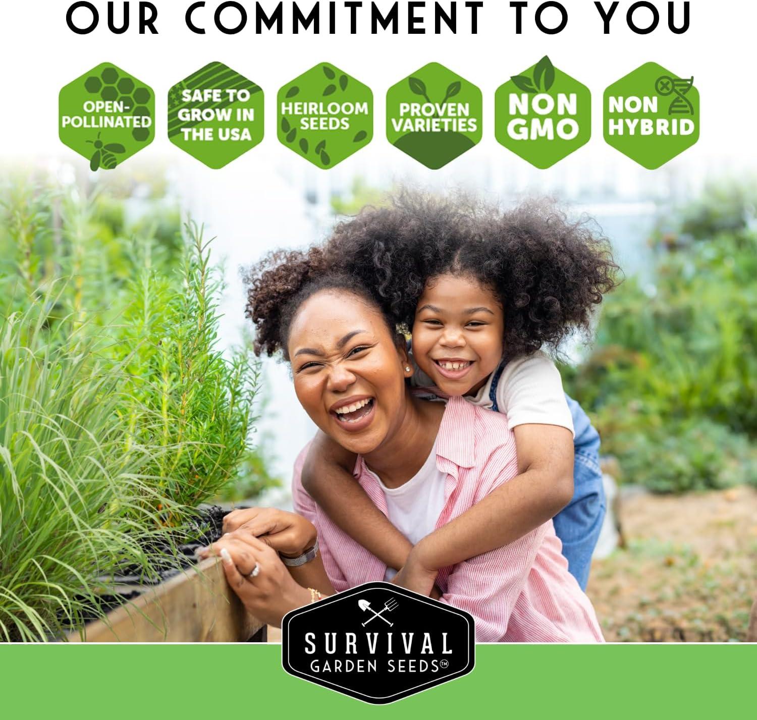 3 Packs Marsh Mallow Seed - Rare Medicinal Flowering Herbs - Non-GMO Heirloom Perennial Full Sun