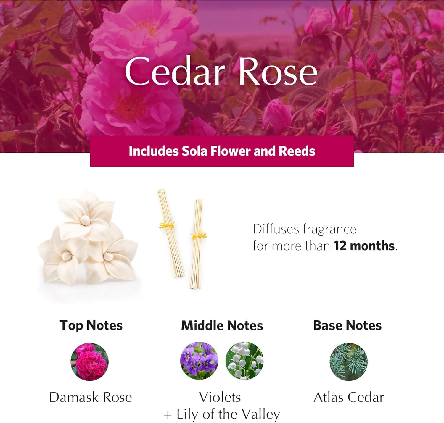 Cedar Rose Scented Oil Reed Diffuser Set