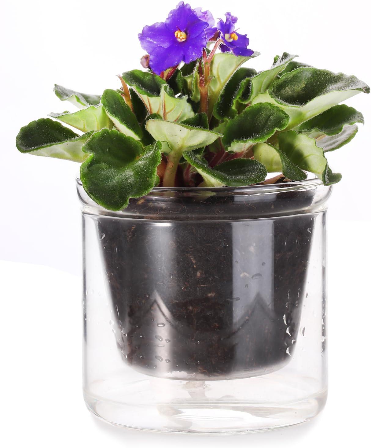 4 Inch Clear Glass Self Watering Indoor Plant Pot