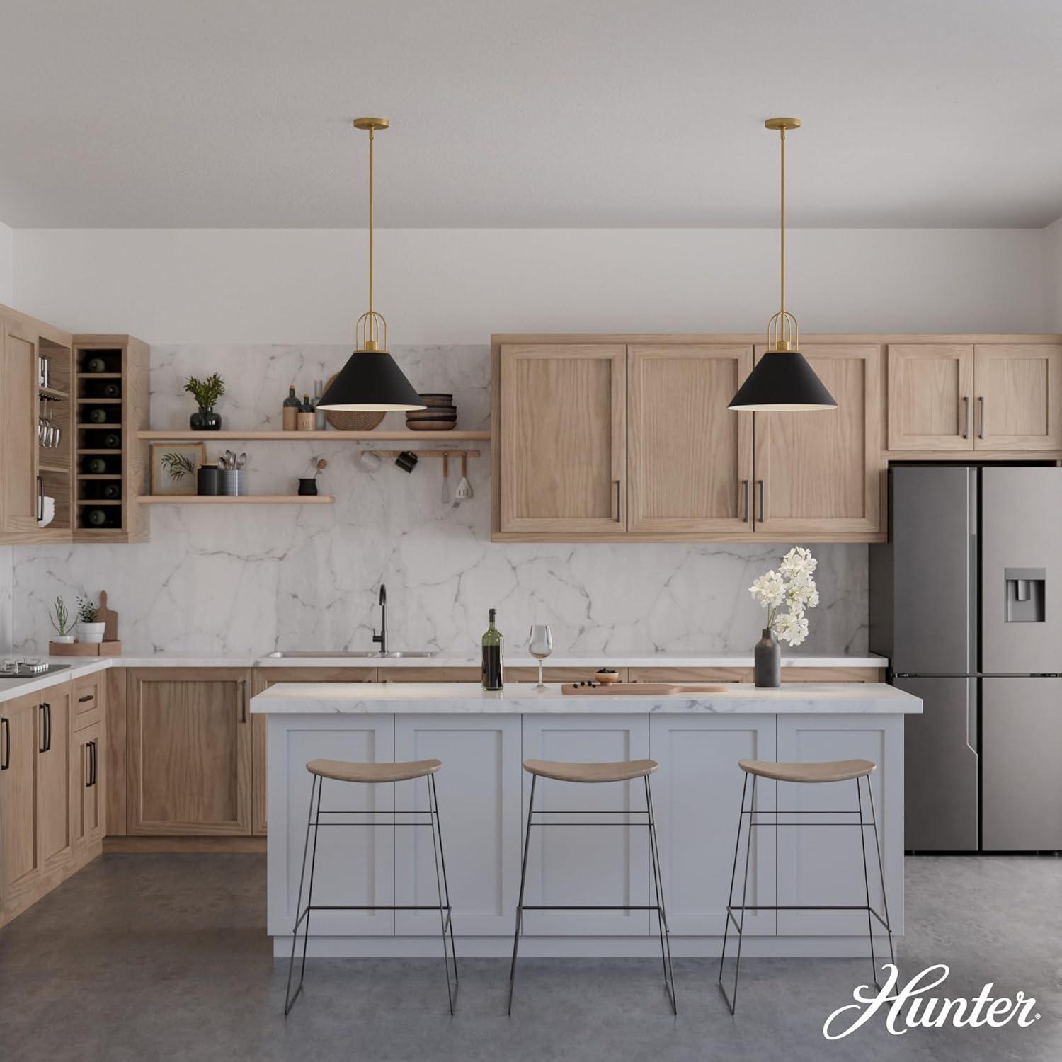 Jasmine Roth Collection + Hunter Jasmine Roth 1 - Light Flat Matte Black Cone Pendant