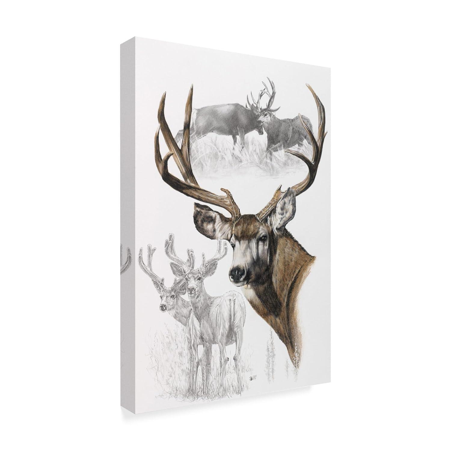Trademark Fine Art Barbara Keith " Mule Deer " by Barbara Keith