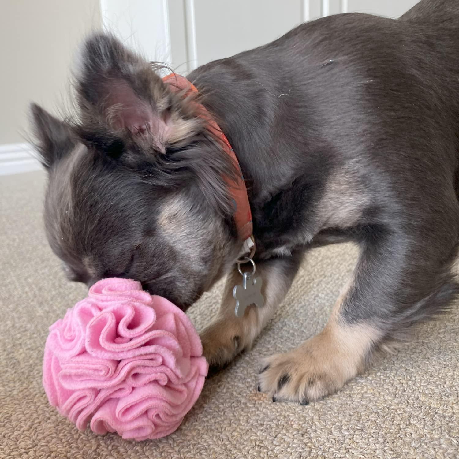 Snuffle Interactive Foraging Dog Puzzle Ball Toy for Puppy and Adult