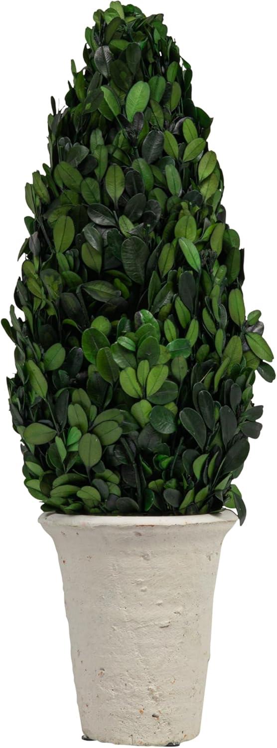 Storied Home Boxwood Cone Topiary: Indoor Faux Topiary, Cement Pot Base, Styrofoam Filler, 17.72" Height