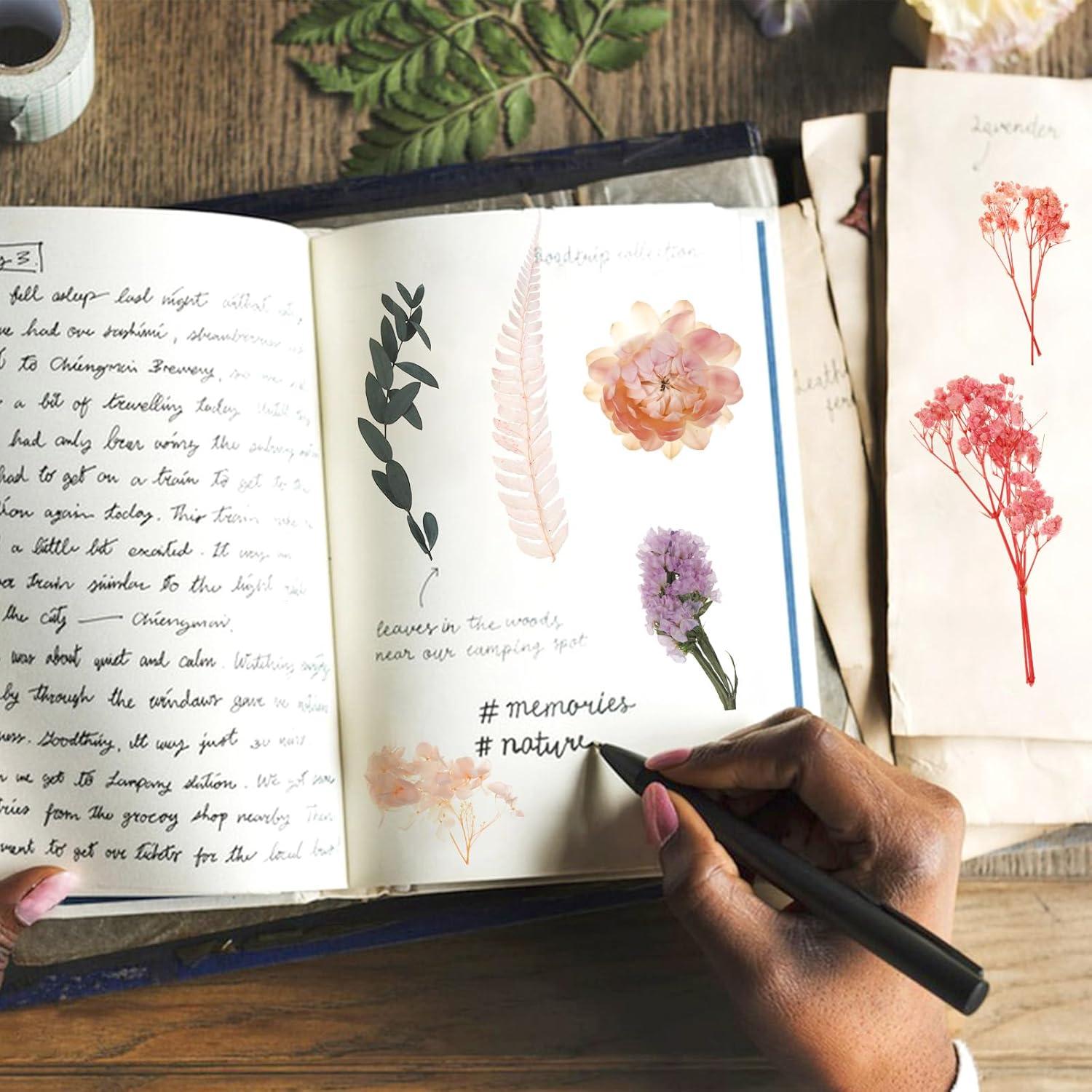 Yoloke DIY Dried Flowers Craft Kit - Natural Assorted Dried Florals for Making Everlasting Valentine's Day Gifts, Unique Design, Perfect for Framing & Creative Decor