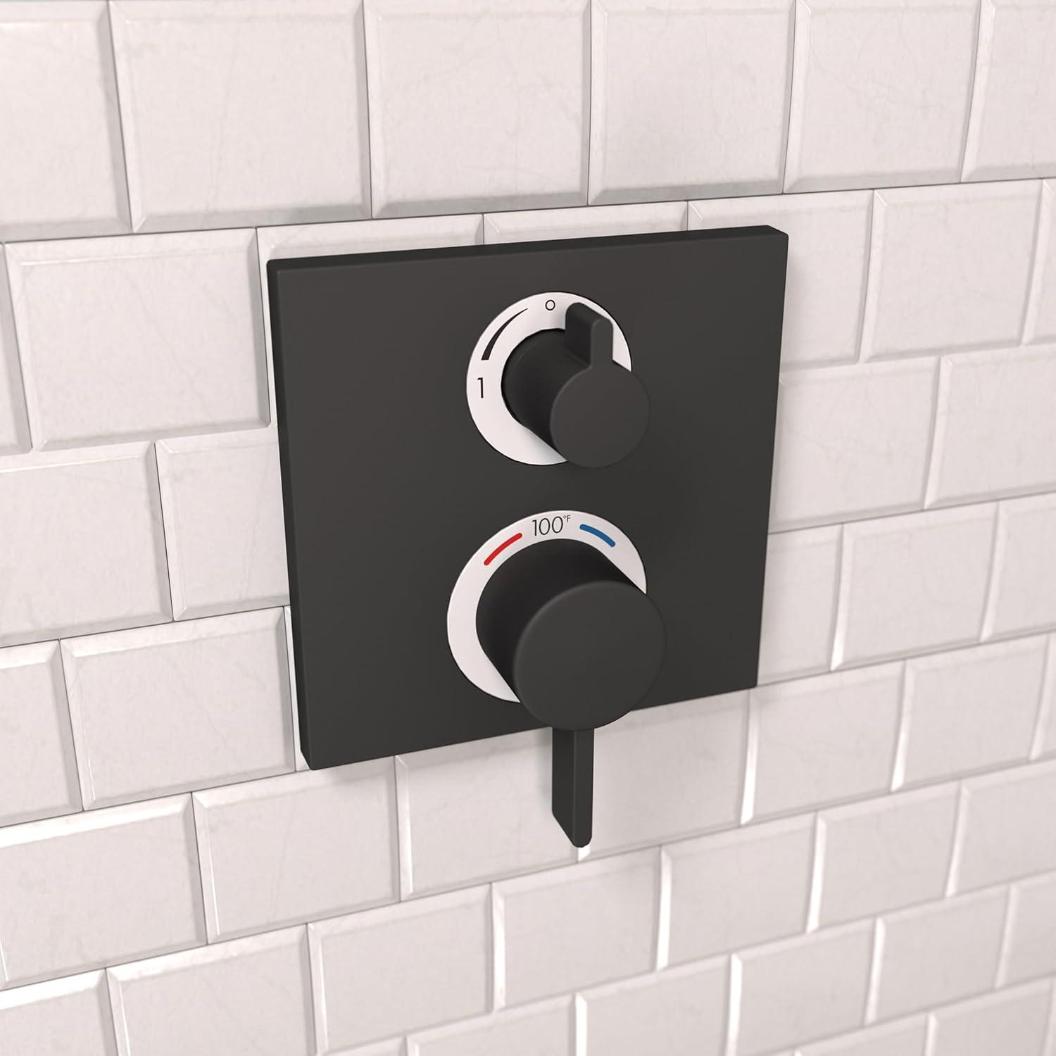 Ecostat Thermostatic Shower Faucet Trim