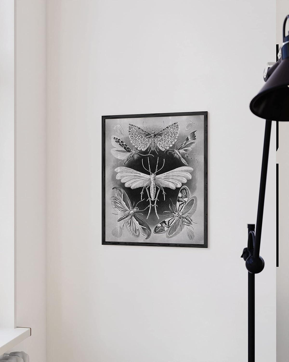 HAUS AND HUES Haeckel Prints Gothic Wall Decor - Goth Room Decor Aesthetic Witch Poster, Witch Art & Wiccan Wall Decorations, Creepy Drawings, Goth Wall Art, Witchy Wall Decor UNFRAMED 12"x16"